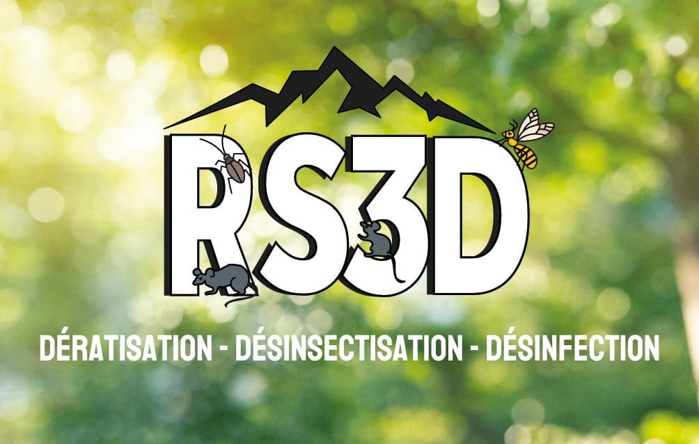 RS3D