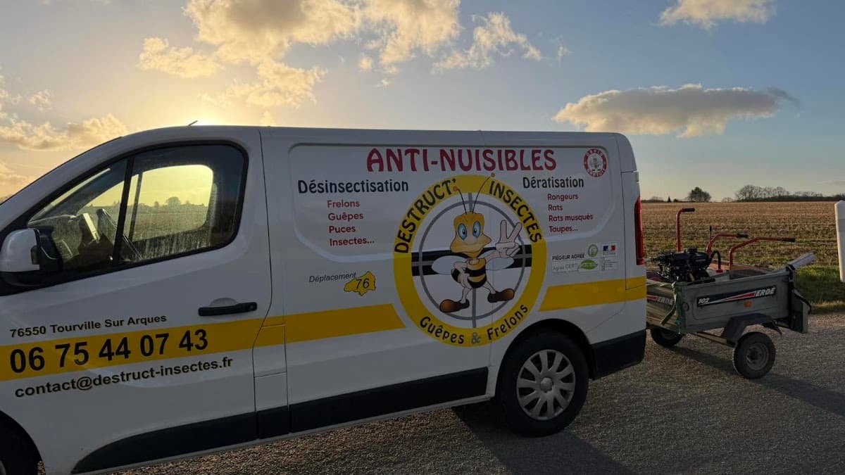 Destruct'Insectes Anti Nuisibles — désinsectisation et dératisation à Dieppe