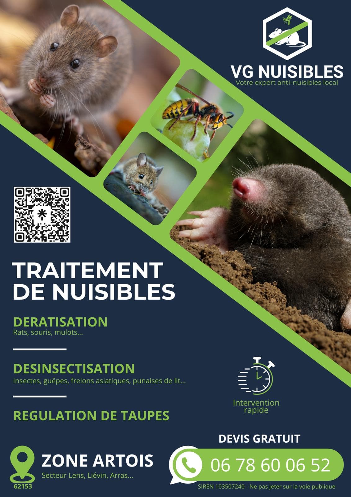 VG NUISIBLES — désinsectisation et dératisation à Liévin