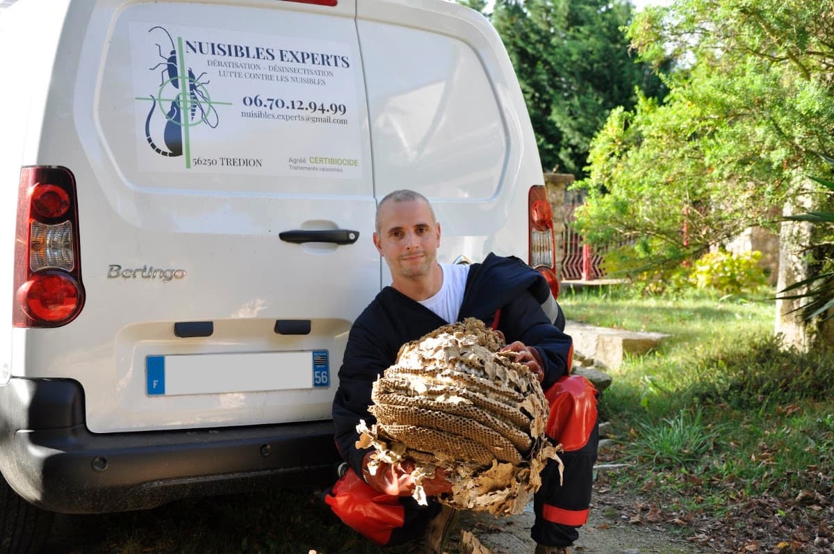 Nuisibles Experts