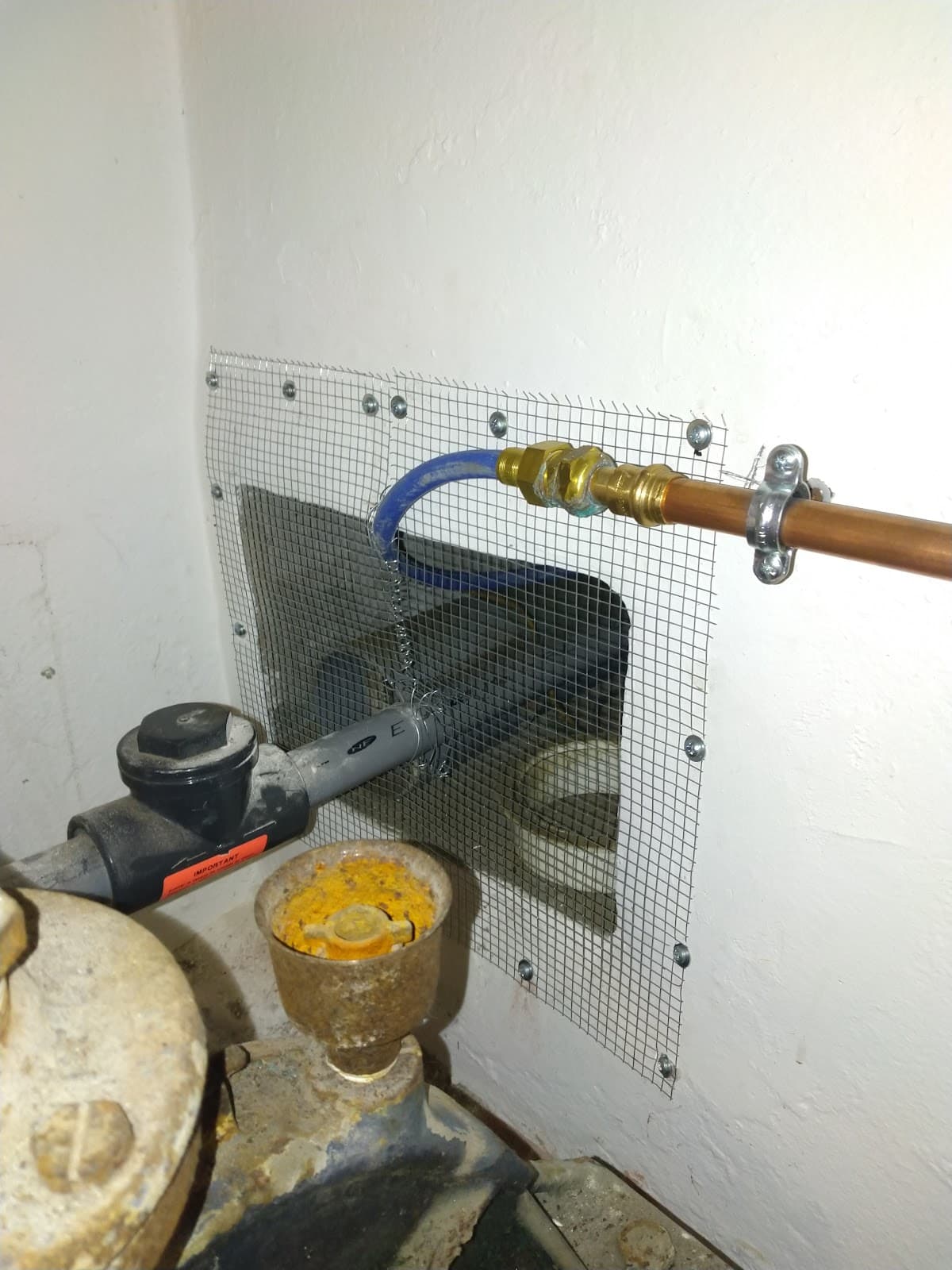 N-NUISIBLES DERATISATION DESINSECTISATION — dératisation à Boulogne-sur-Mer