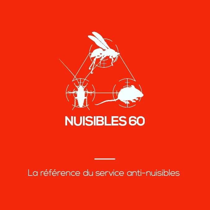 NUISIBLES 60 — désinsectisation et dératisation à Compiègne