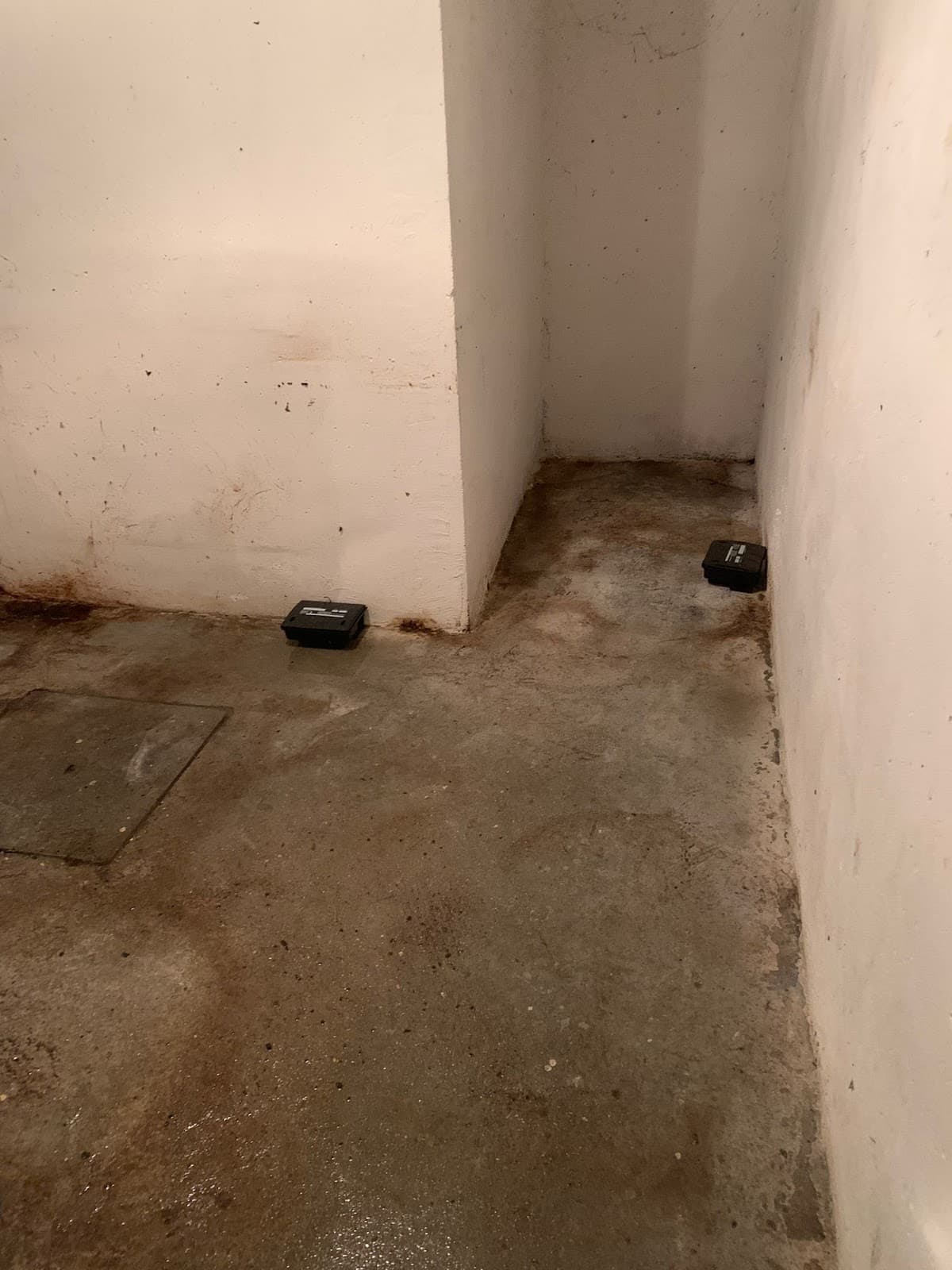 HS NUISIBLES NORMANDIE — désinsectisation et dératisation à Rouen