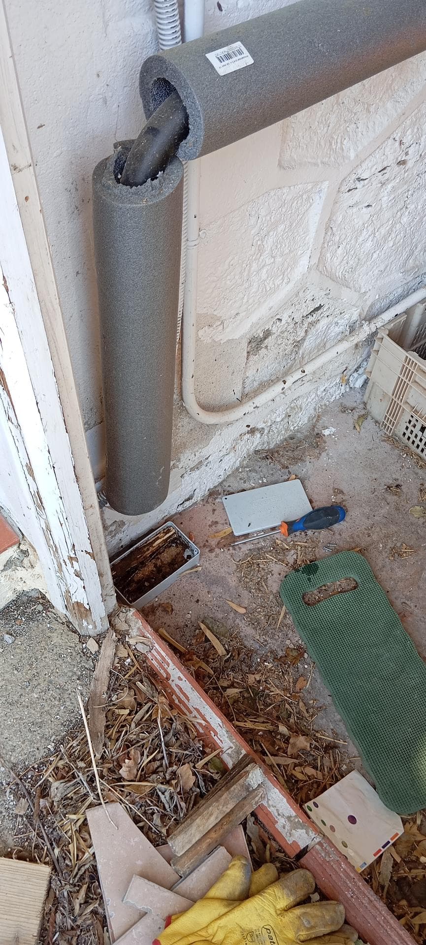 Protection Termite