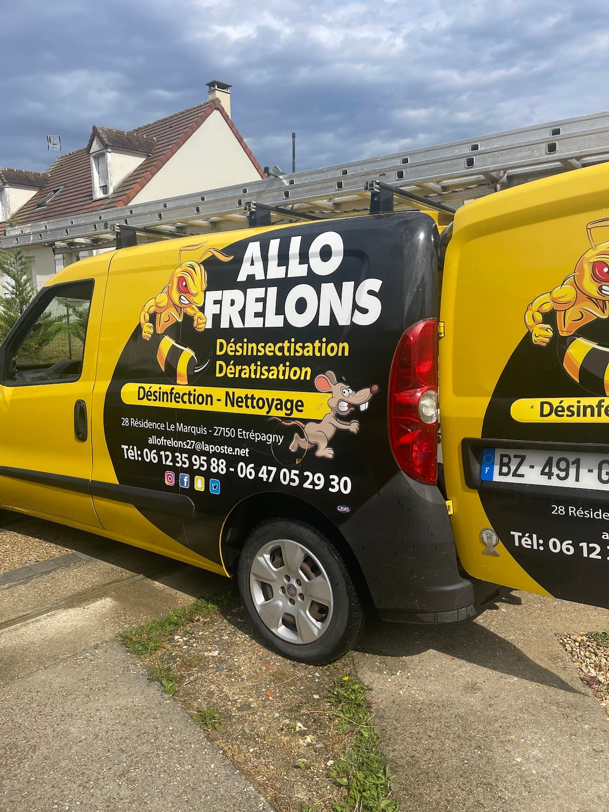 ALLO FRELONS HYGIENE ANTI- NUISIBLES