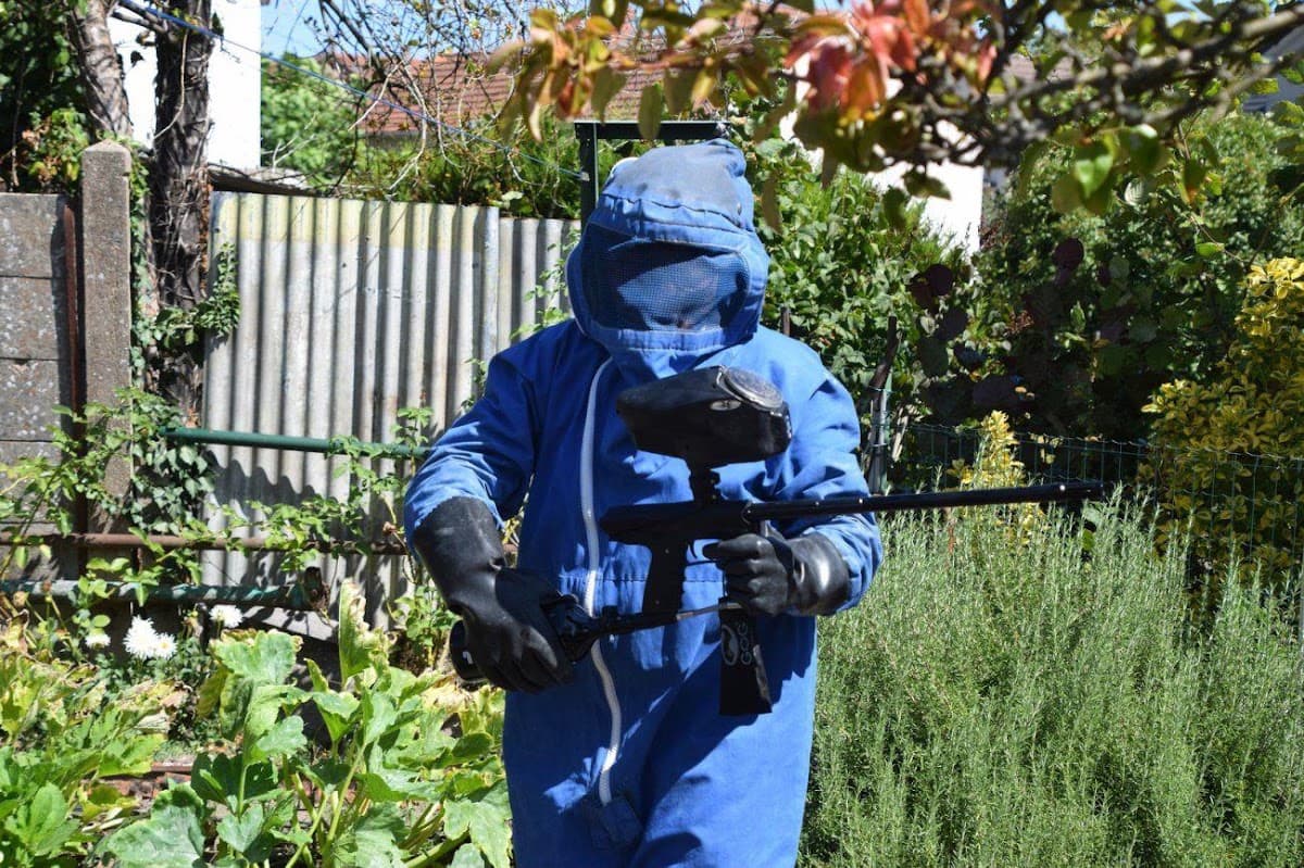 Pro-3D — désinsectisation et dératisation à Montceau-les-Mines