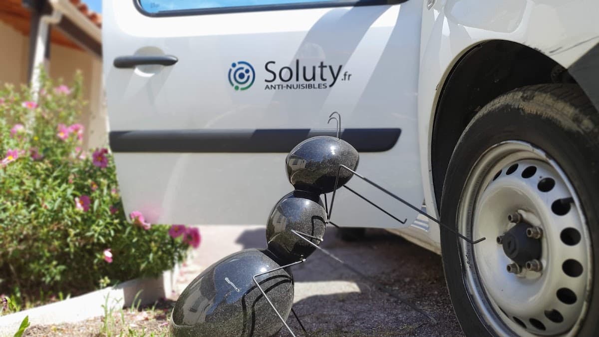 SOLUTY - Dératisation Désinsectisation Désinfection Cannes Grasse
