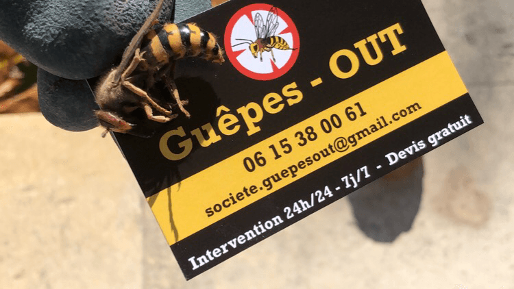 Guêpes Out