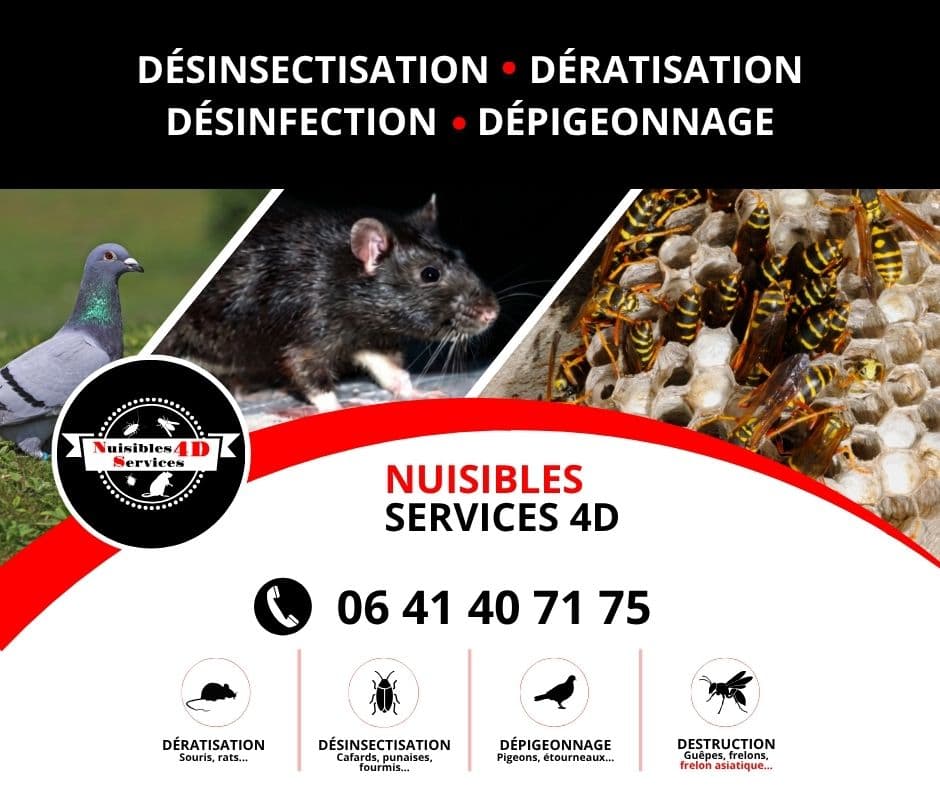 Nuisibles services 4D Haute-saone