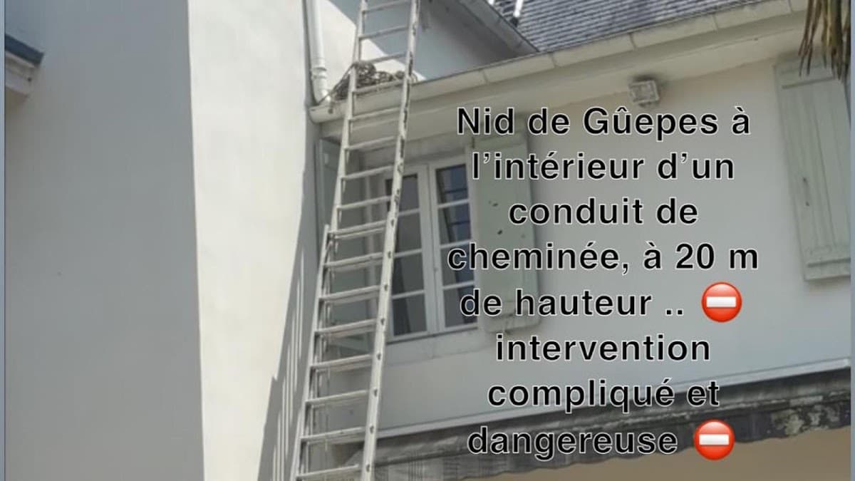LRL 3D — désinsectisation et dératisation à Lourdes