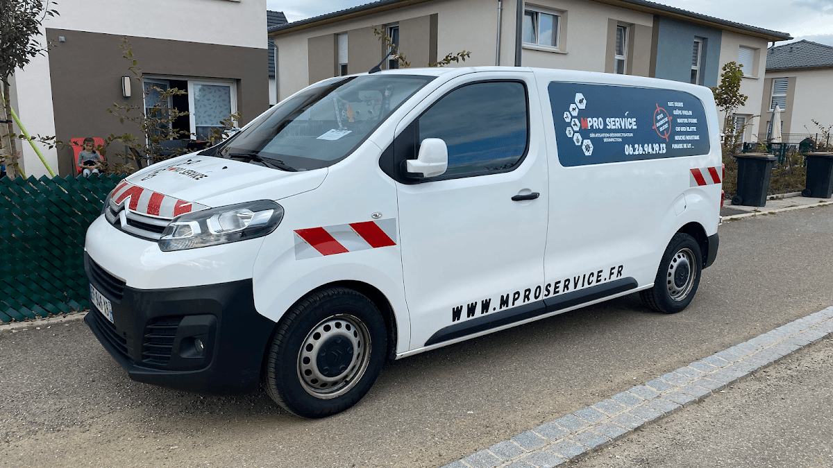 M Pro Service Vosges : Dératisation, Désinsectisation, Dépigeonnage & Désinfection — dératisation à Saint-Dié-des-Vosges