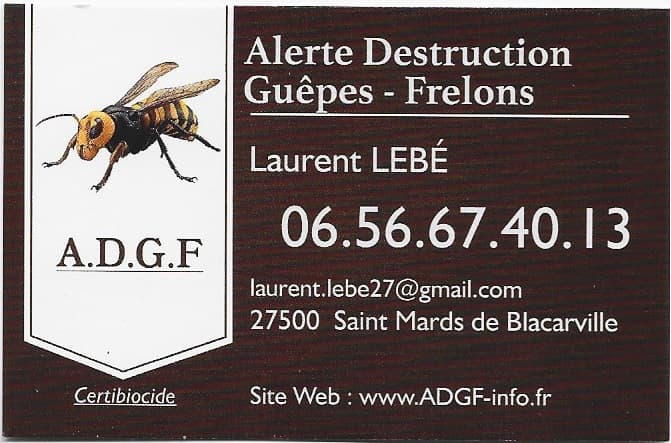 Alerte Destruction Guêpes Frelons — destruction de nids de guêpes et frelons à Pont-Audemer