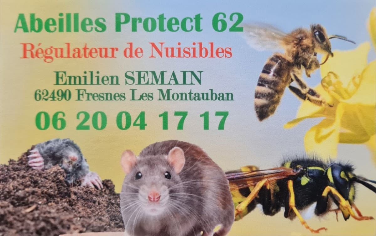 Abeilles Protect 62 — désinsectisation et dératisation à Liévin