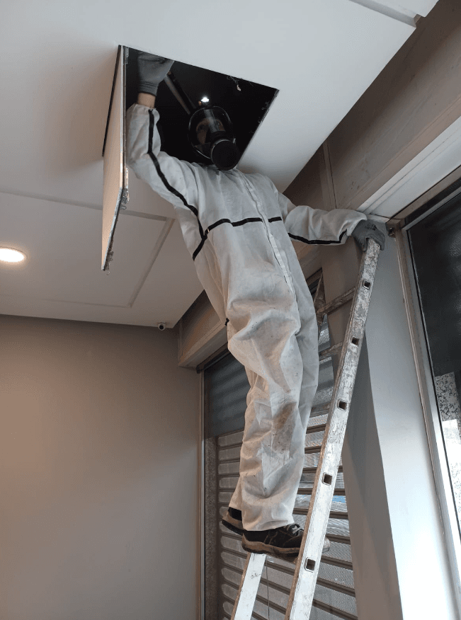 Pest Control Services — désinsectisation et dératisation à Strasbourg