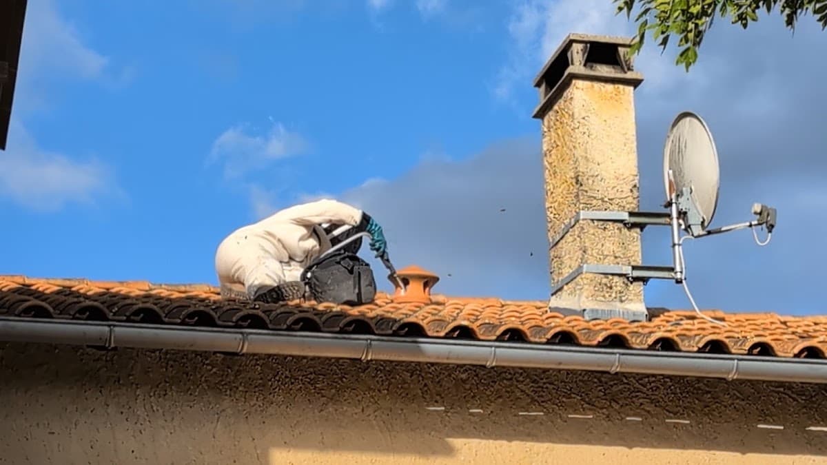 Se Ly Guêpes Frelons — destruction de nids de guêpes et frelons à Bergerac