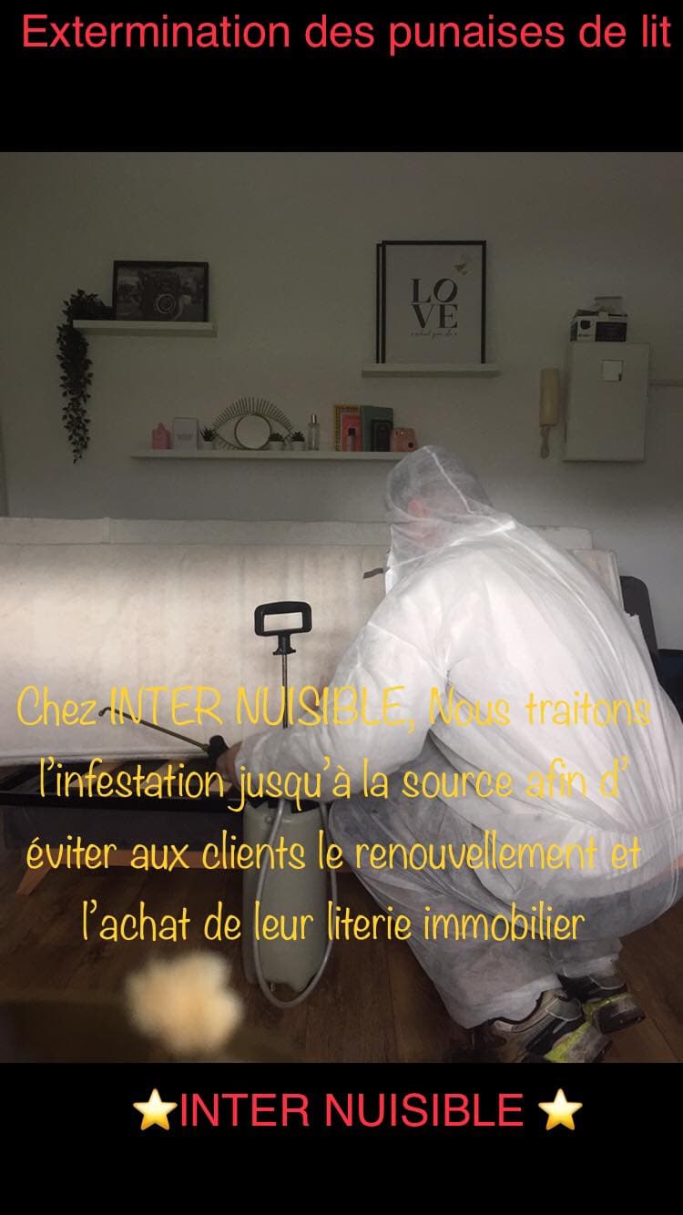 INTER NUISIBLE — désinsectisation et dératisation à Paris