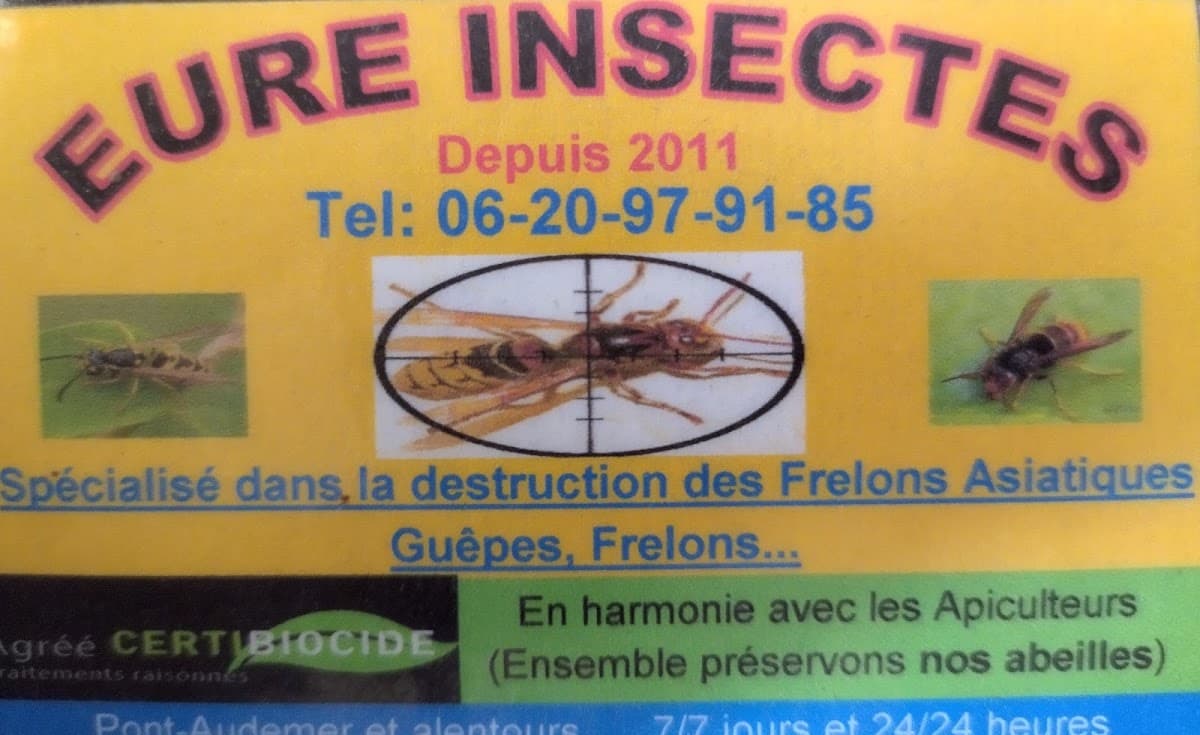 Eure Insectes destruction frelons guêpes — destruction de nids de guêpes et frelons à Pont-Audemer
