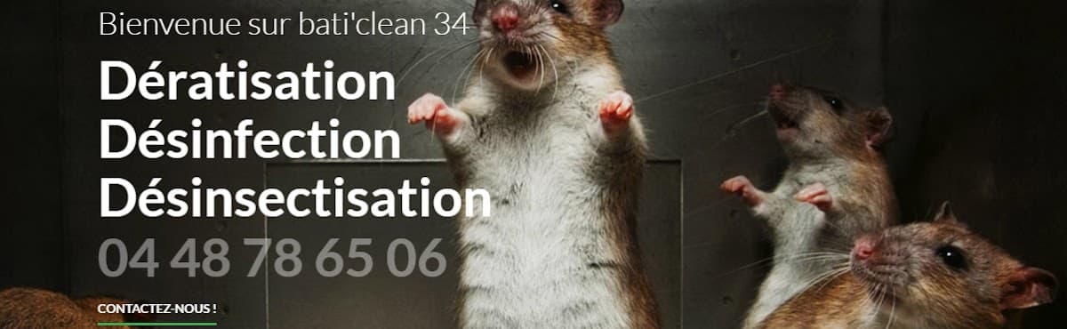 BATI'CLEAN 34