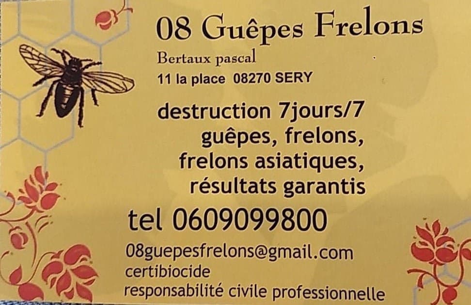 08 Guêpes Frelons — destruction de nids de guêpes et frelons à Sedan