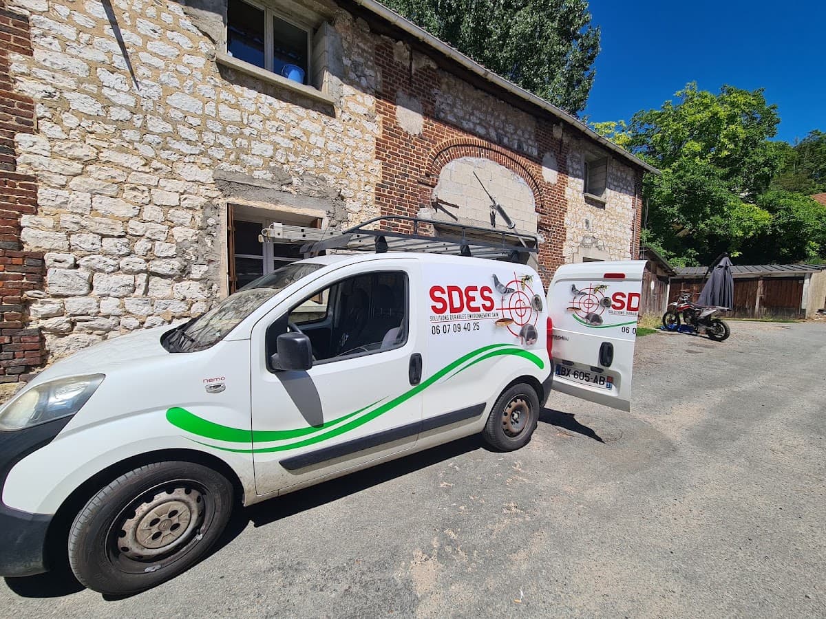 SDES — désinsectisation et dératisation à Gisors