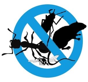 GPHA - Ajaccio — désinsectisation et dératisation à Ajaccio