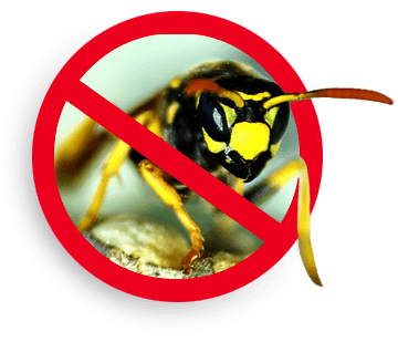 G.D.I Gallot Destruction d'Insectes
