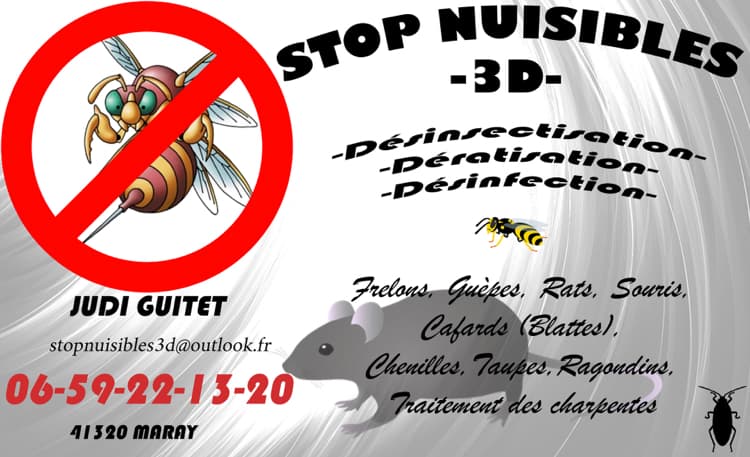 Stop Nuisibles -3d- — désinsectisation et dératisation à Vierzon