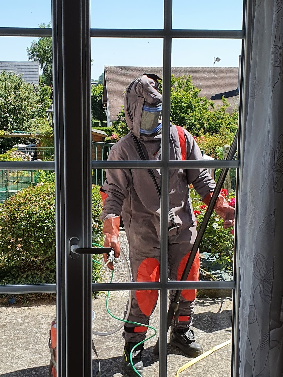 allo-guepe 76 — destruction de nids de guêpes et frelons à Déville-lès-Rouen