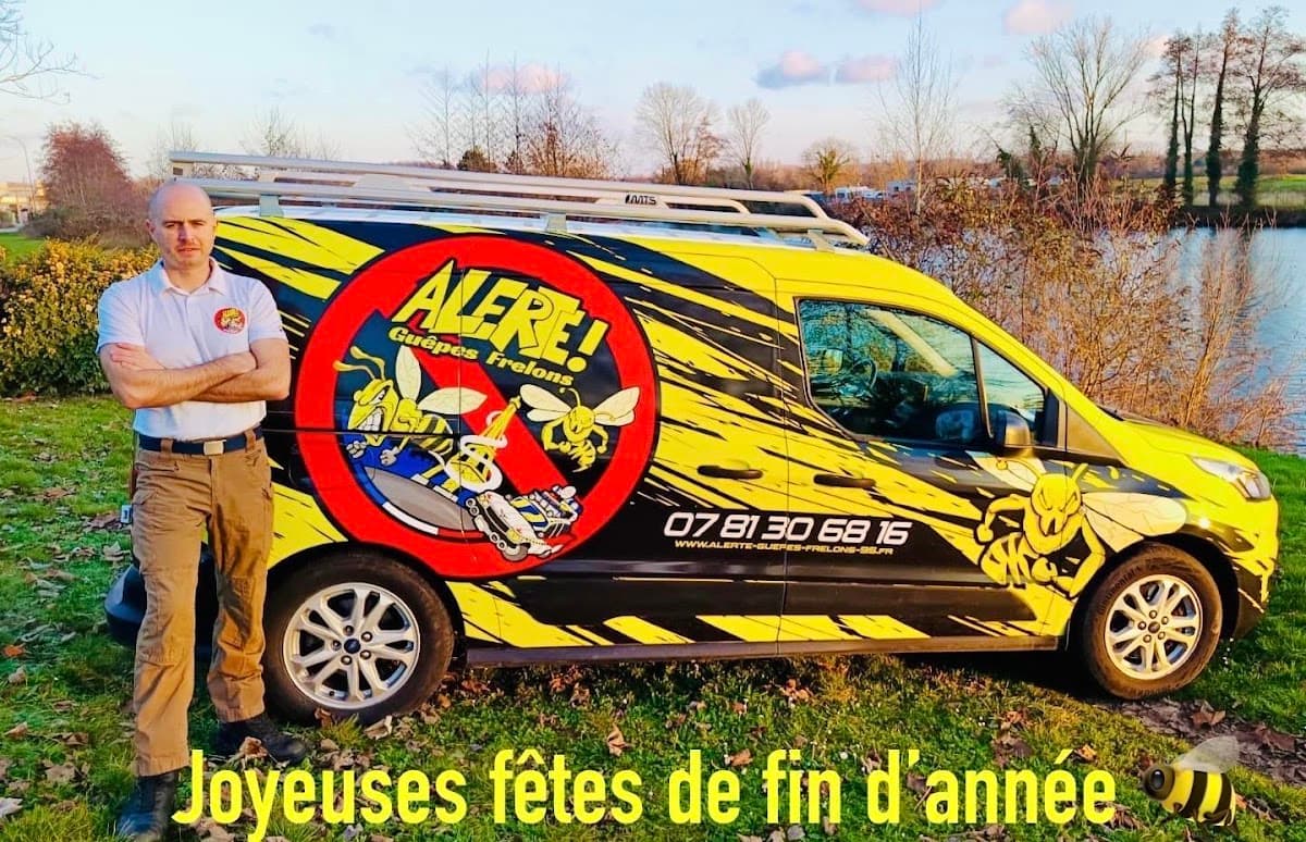 Alerte Guêpes Frelons 95 et 60 — destruction de nids de guêpes et frelons à Montataire