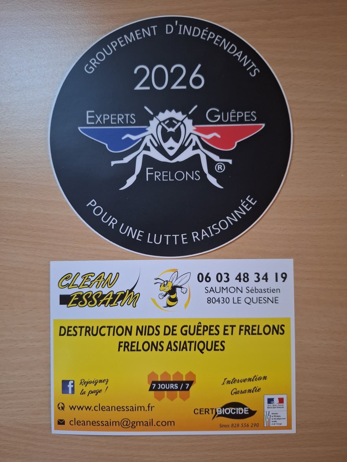 Clean Essaim guêpes et frelons