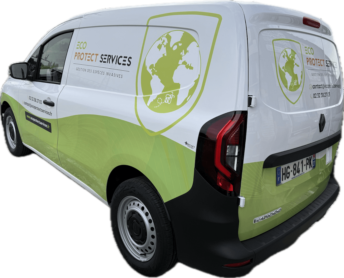 Eco Protect Services
