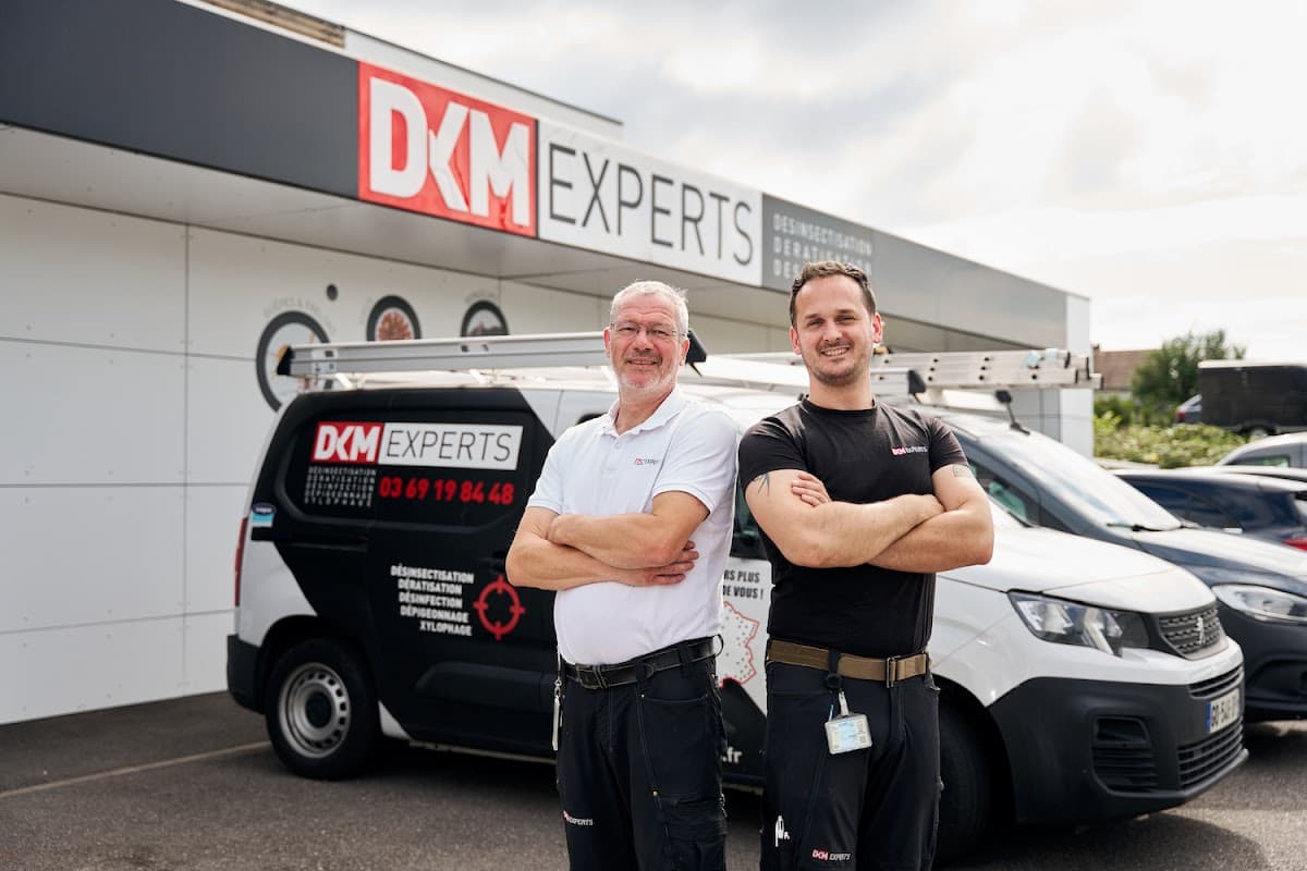 DKM Experts Colmar : Dératisation Désinsectisation Désinfection