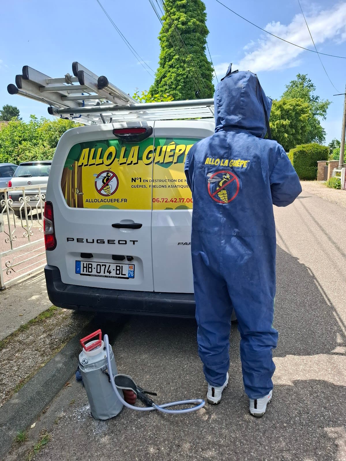 Allo la Guepe — destruction de nids de guêpes et frelons à Rouen