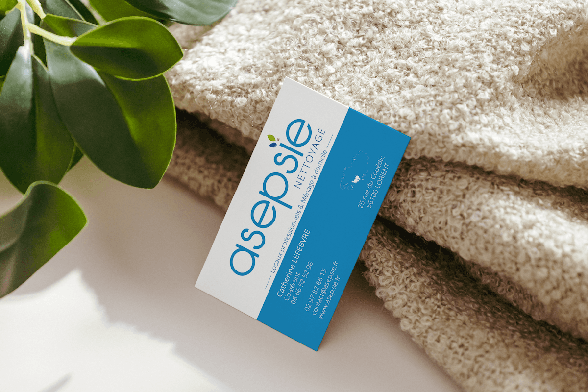 ASEPSIE Propreté particuliers et professionnels