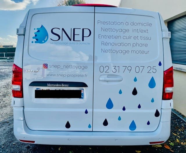 SNEP — désinsectisation et dératisation à Ifs