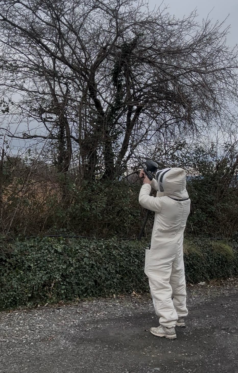 𝗖𝗟𝗘𝗥𝗠𝗢𝗡𝗧 𝗡𝗨𝗜𝗦𝗜𝗕𝗟𝗘𝗦 – EXTERMINATION & DÉRATISATION — dératisation à Clermont-Ferrand